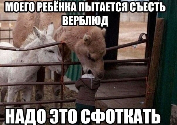 Так себе картинки 17.12.2021