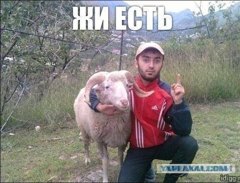 Медведев назвал условие для ареста средств иностранцев в России