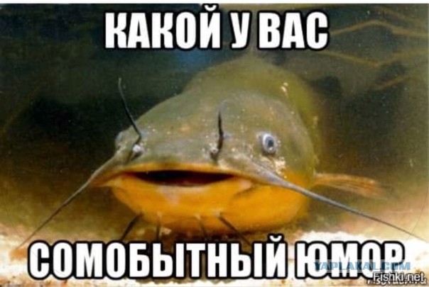 Мигранты начали уезжать из России