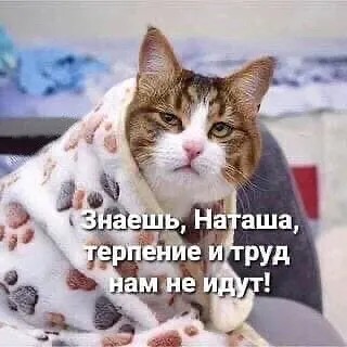 РСП