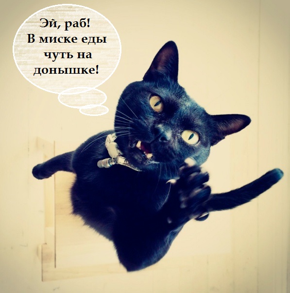 Так себе картинки 19.05.22