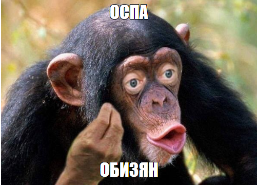 Всемирная сеть здравоохранения объявила вспышку обезьяньей оспы пандемией