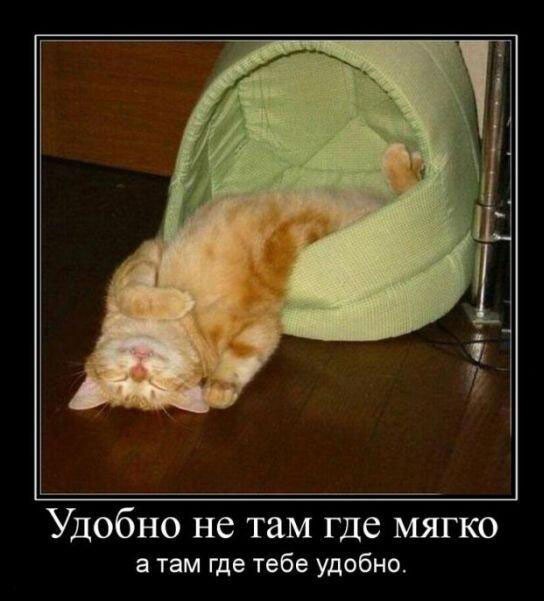 Юмор в картинках и без