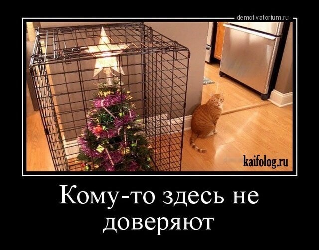 Юмор в картинках и без