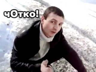 Кошка сидит