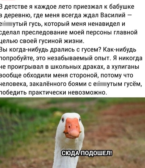Подборка картинок
