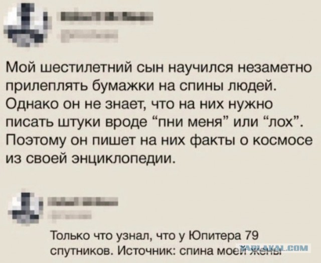 Всего понемногу.