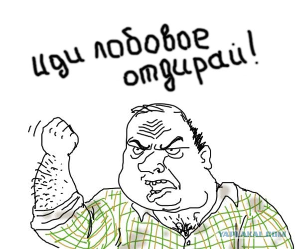 Полиция ищет сотрудницу ЦИК за наезд на пешехода