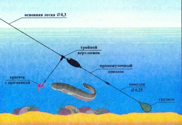 Какие добрые моменты вспомните?