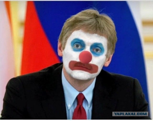 Повода для беспокойства в связи с ростом курса доллара нет. Нужно привыкать жить в рублевой зоне — Песков