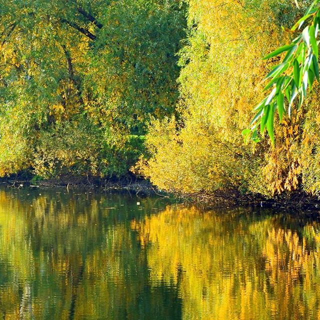 Краски осени