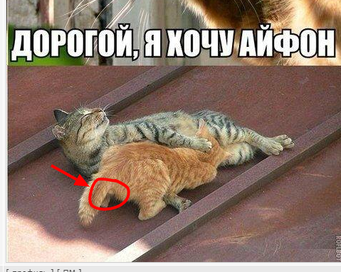 Немного мемчиков. Для взрослых. Часть 32