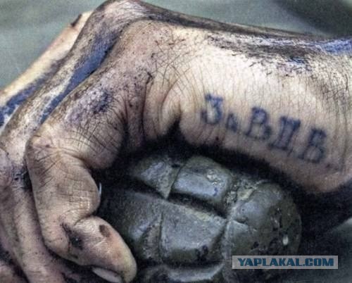 Игорь Николаев зарегистрировал товарный знак "‎Выпьем за любовь"