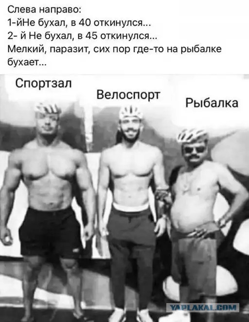 Улыбательные картинки разной степени свежести