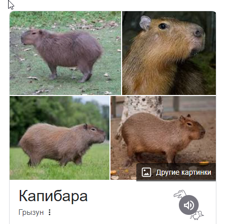 Расшумелся тут