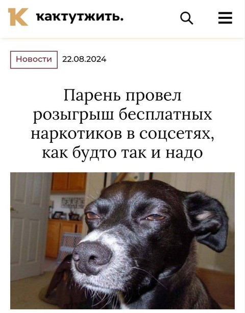 Всего понемногу. От 03.09.24