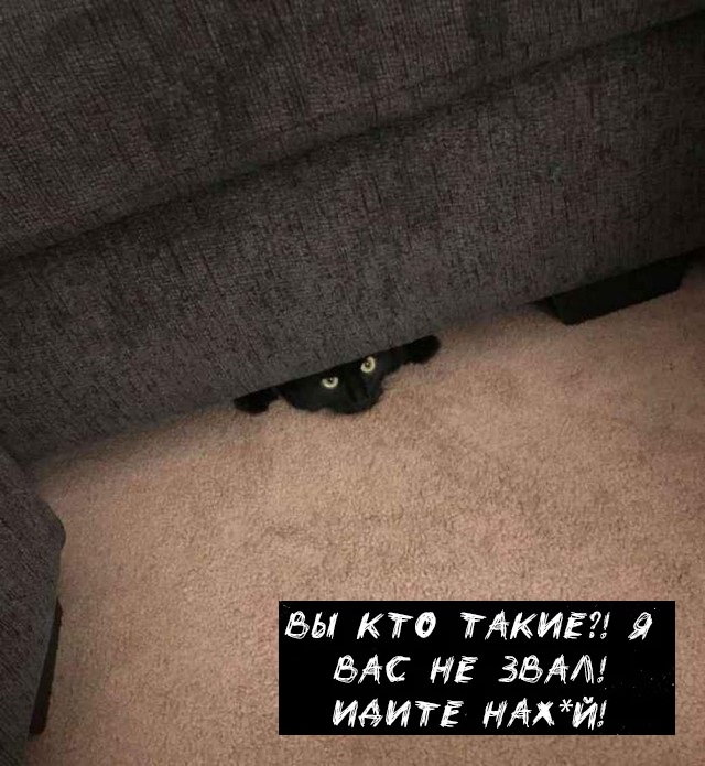 Нуштош 12.09.2024