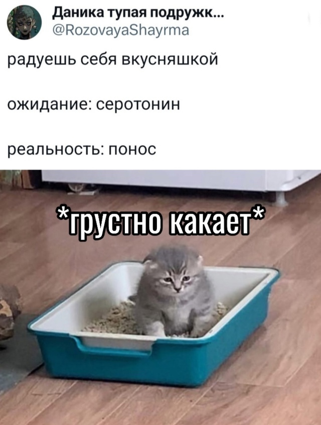 Быстрая деградация