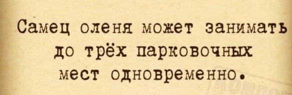 Нуштош 05.11.2024