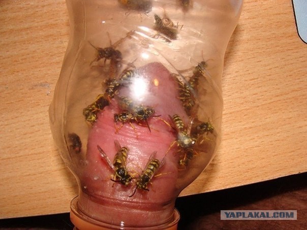 Это был суровый отдых на даче