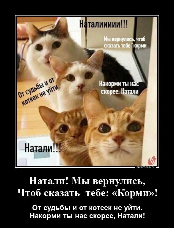 К котовторнику: подборка картинок-баянов с котиками и про котиков. Выпуск 2.