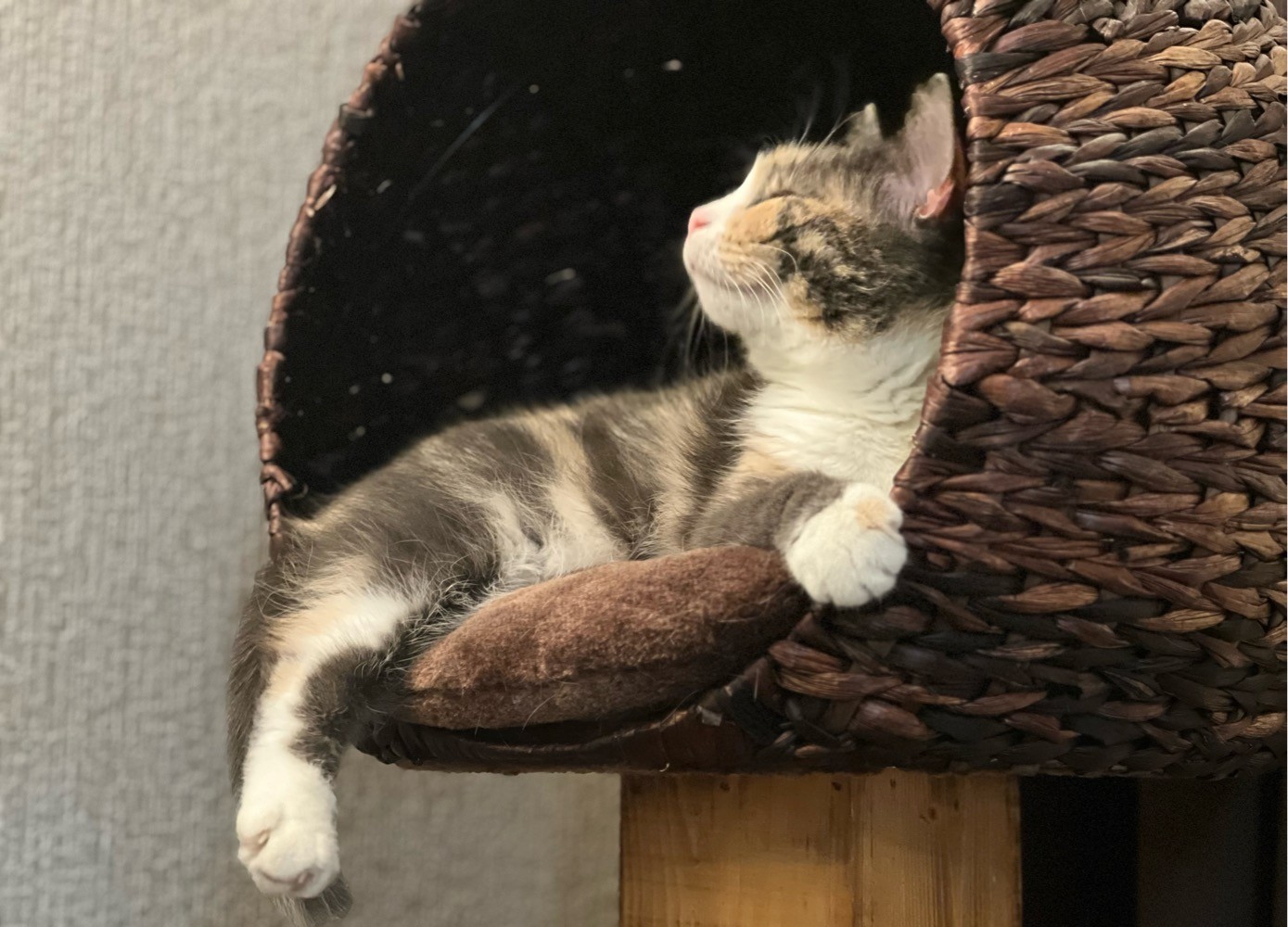 Клубничная 