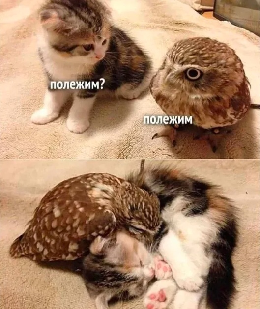 Так себе картинки 31.05.25