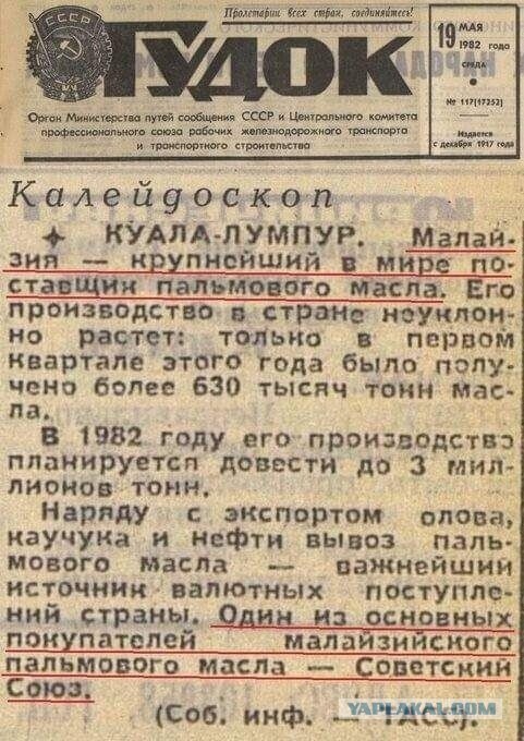 Светлое будущее
