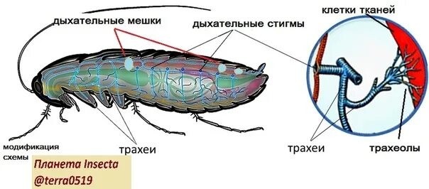 Смазал скрипучего