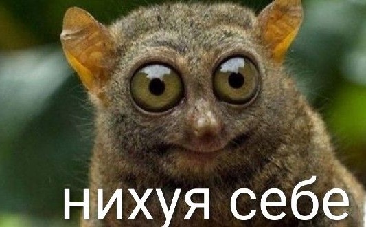 Живут жэ люди!