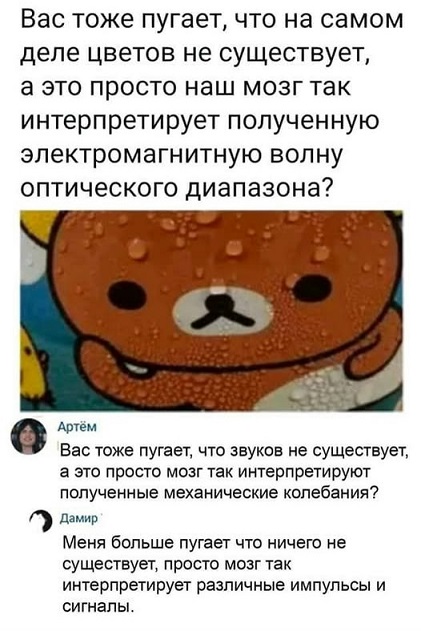 Мой кот