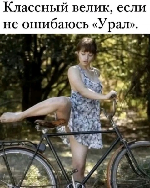 Картинки для деградации 245 (разной степени свежести)