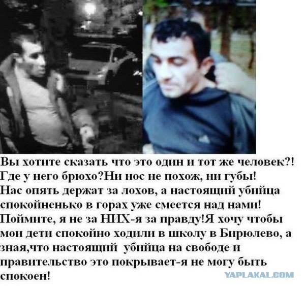 Зейналов отказался от признательных показаний!, на попятный