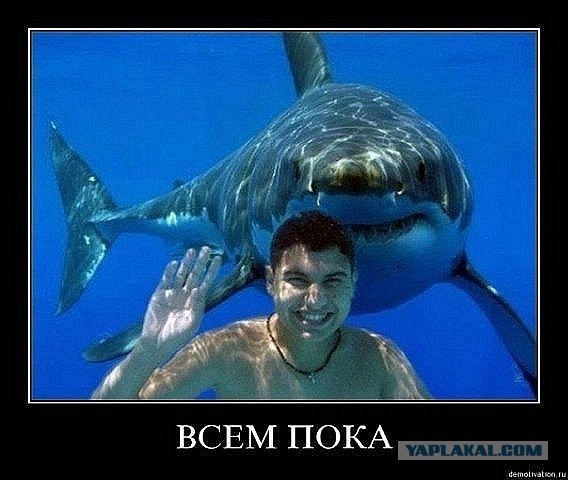 Демотиваторы.