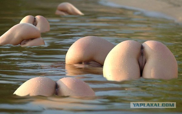 Поймал, буду жарить.