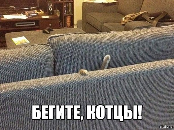 Срочно ищецца мужик!