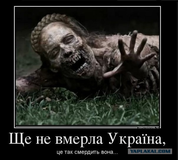 Цензор про ЯП. Учат троллингу )))))