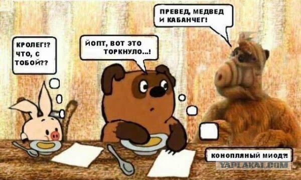 Немного картинок и юмора