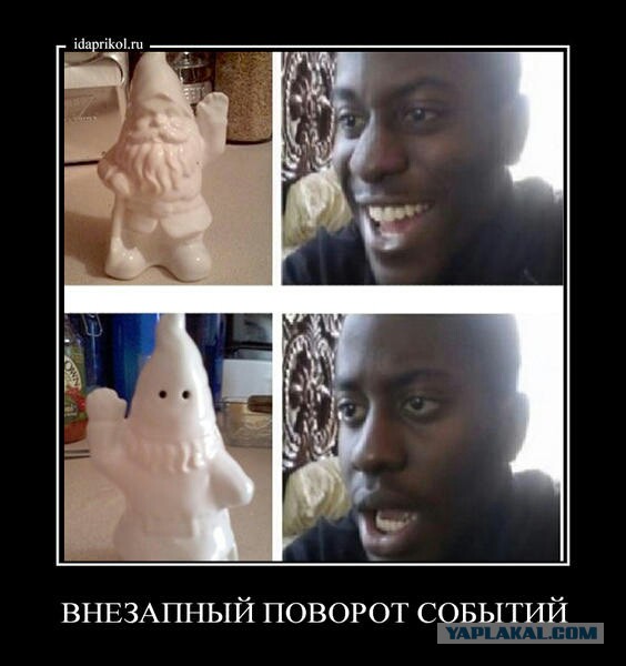 Коллекция картинок