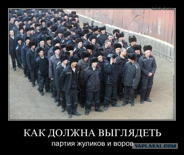 Канцтоварное чудо за 36 миллионов рублей