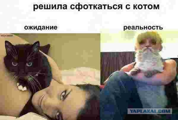 Веселости на пятницу