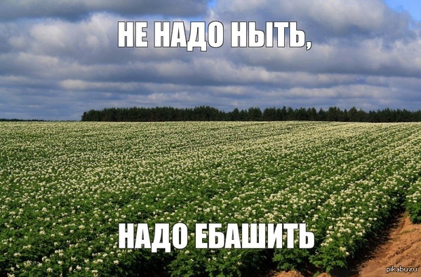 "А шашлычок когда?"