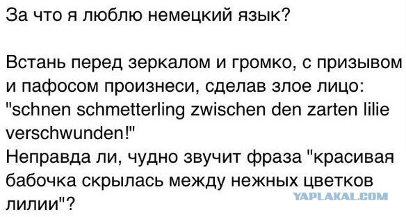 Подборка баянов.