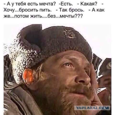 Алкоголь и деградация личности  как это начинается