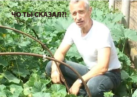 Очевидные факты