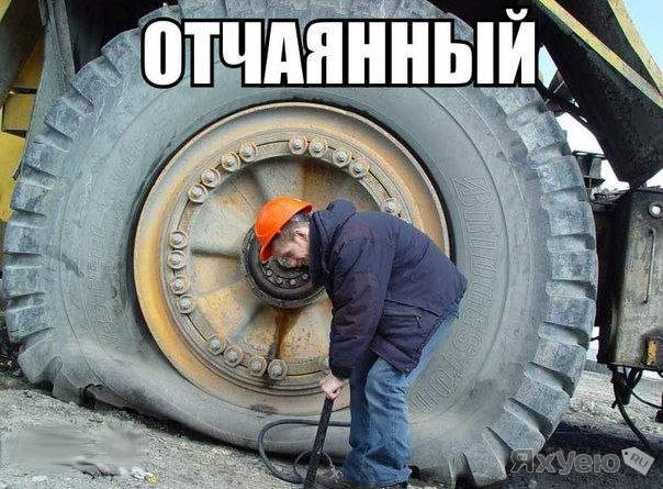 Картинки и приколы из соцсетей