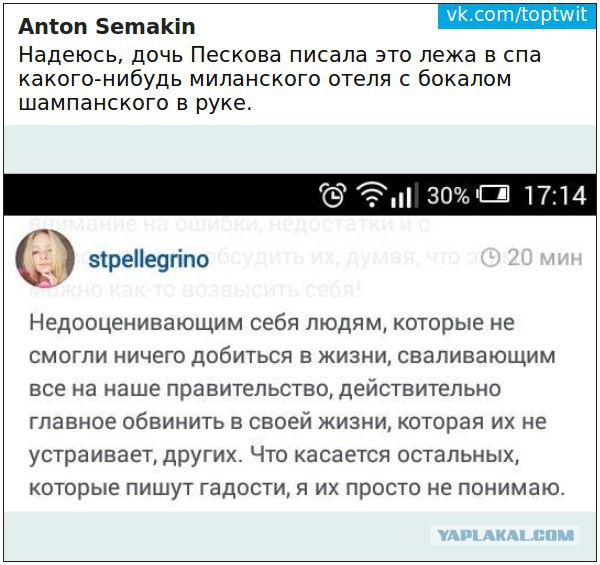 Песков объяснил, почему расследование о семье