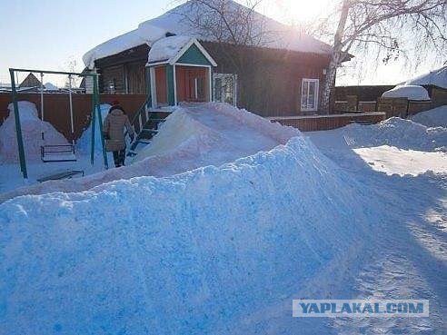 Картинки разные из сети