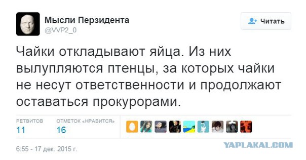 Забавные картинки из Сети