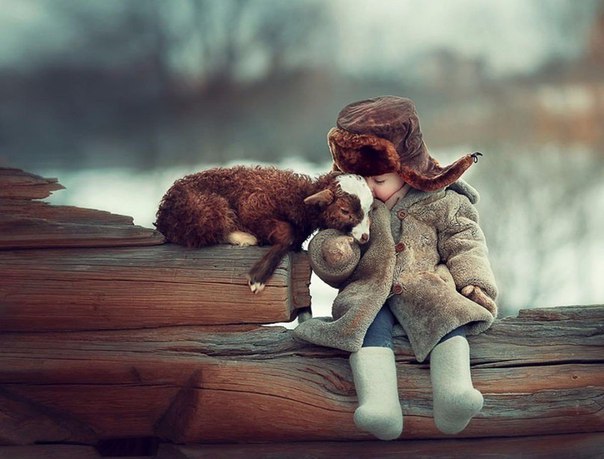 Разные картинки